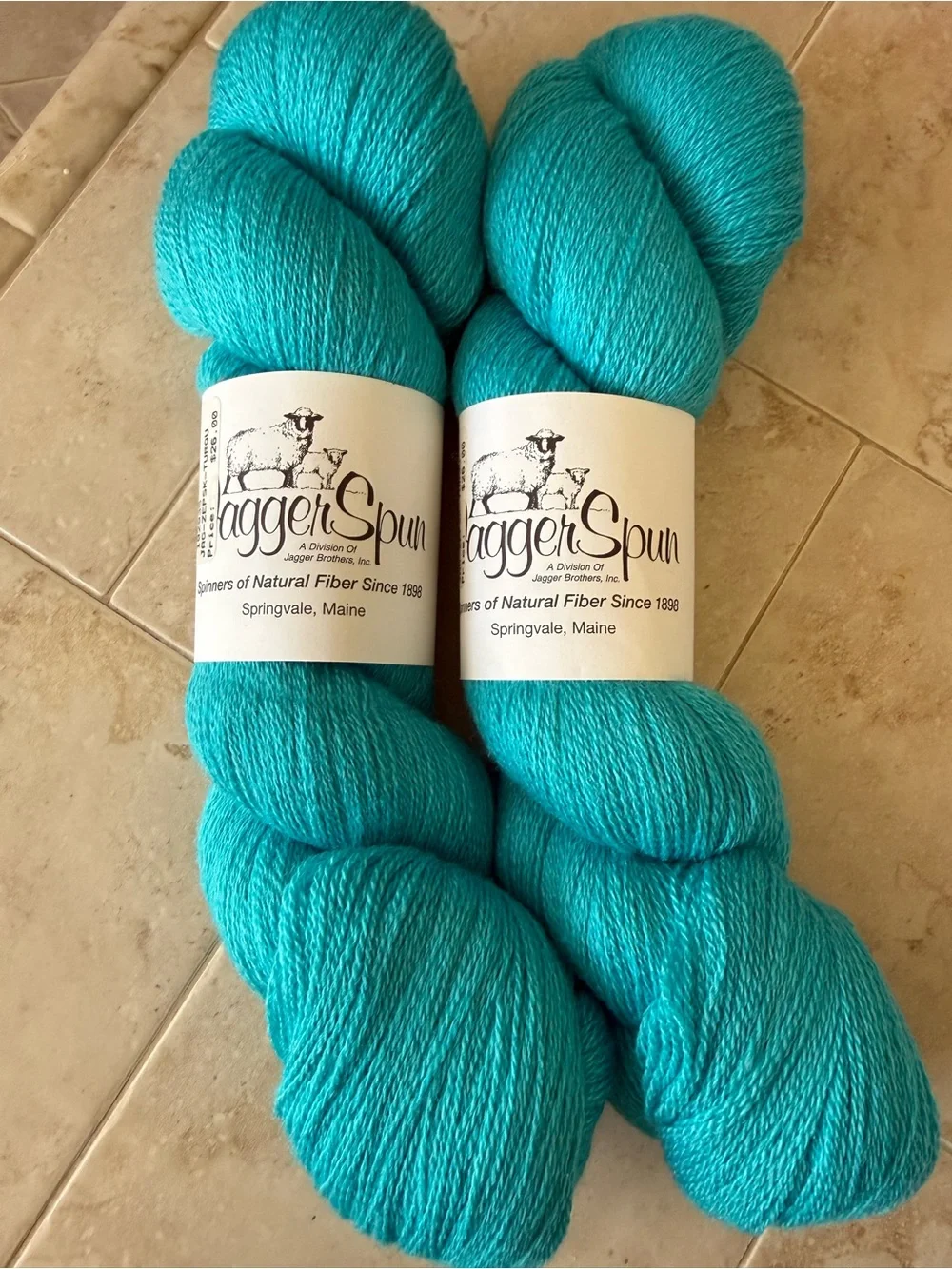 Jagger Spun Wo:Silk Blend Turquoise Hand-Dyed Yarn Skein - Bright Teal